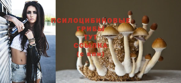 гашишное масло Приозерск