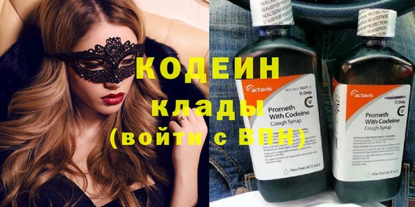 ГАЛЛЮЦИНОГЕННЫЕ ГРИБЫ Грязи