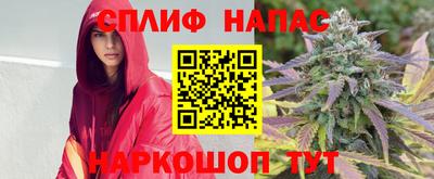 сатива Бийск