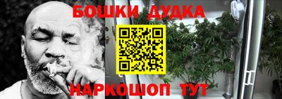 сатива Бийск