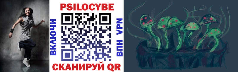 Псилоцибиновые грибы Psilocybe  наркота  kraken зеркало  Ногинск 