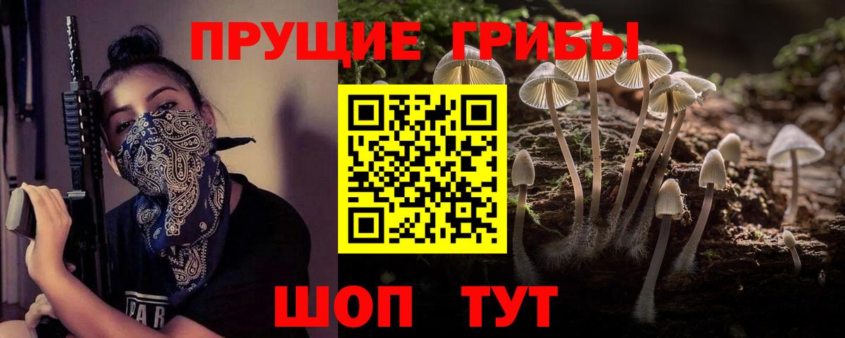 Ногинск  Галлюциногенные грибы Cubensis  Вход с VPN 